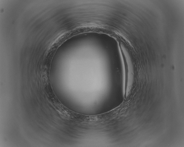 X0000073760968200608171352