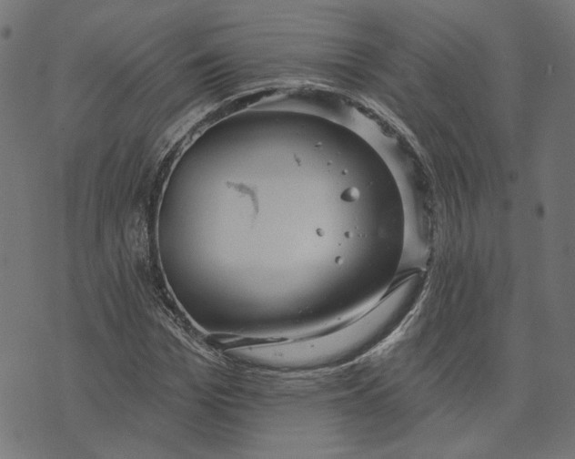 X0000073760969200608171352