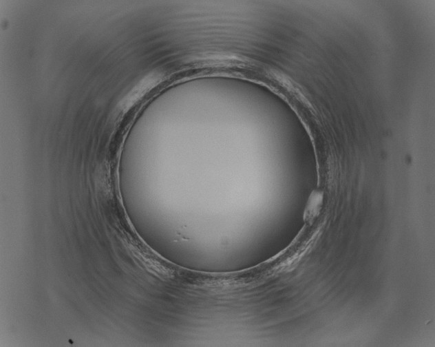 X0000073760970200608171352