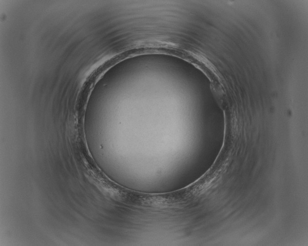 X0000073760971200608171352