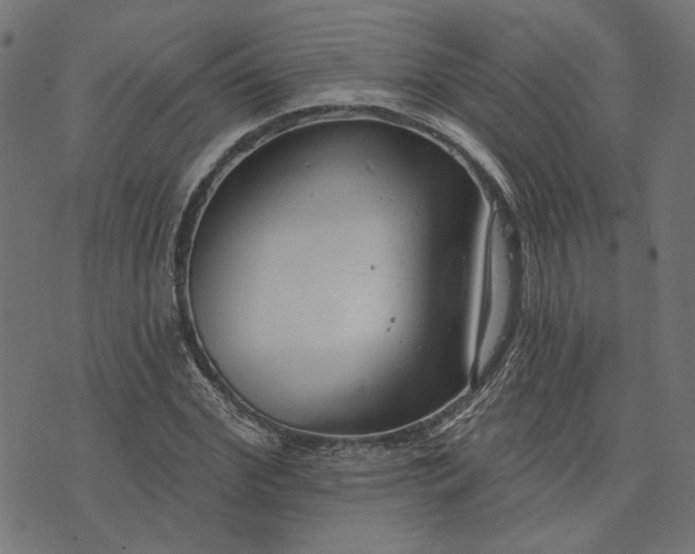 X0000073760972200608171352