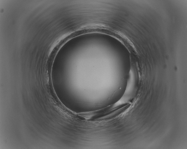 X0000073760973200608171352