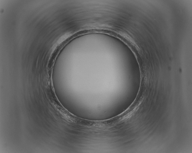 X0000073760974200608171352