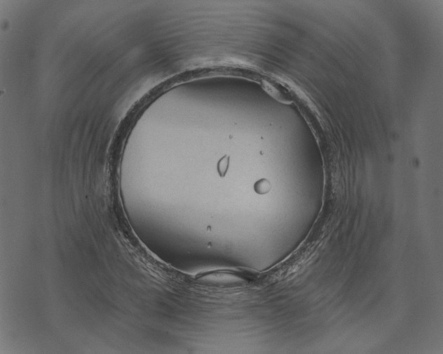 X0000073760975200608171352