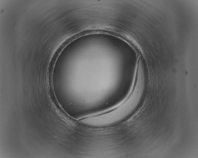 X0000073760976200608171352