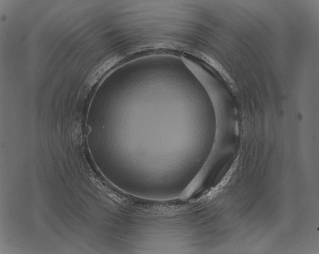 X0000073760977200608171352