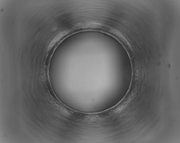 X0000073760978200608171352