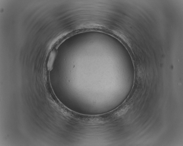 X0000073760979200608171352