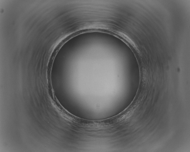 X0000073760980200608171352