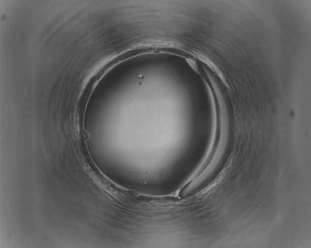 X0000073760981200608171352