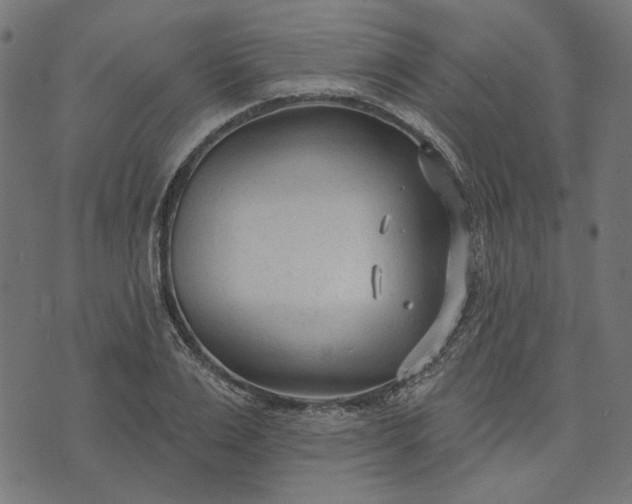 X0000073760983200608171352