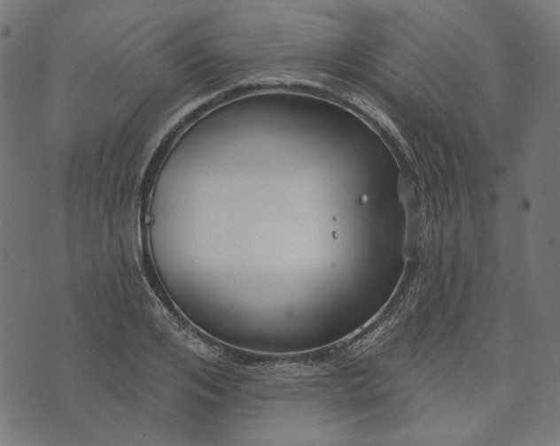 X0000073760984200608171352