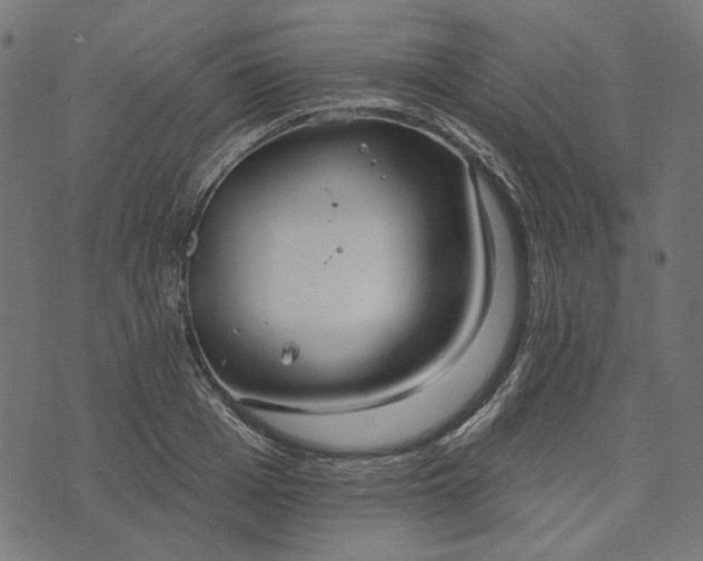 X0000073760985200608171352