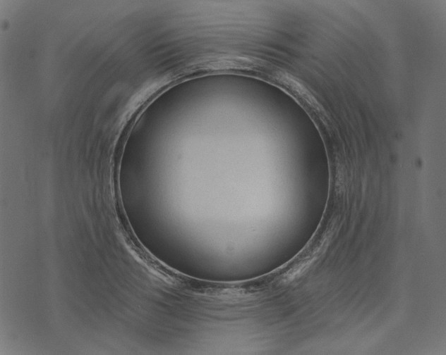 X0000073760986200608171352