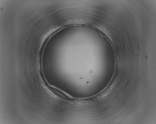 X0000073760987200608171352