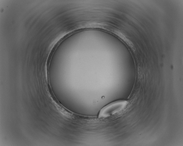 X0000073760988200608171352