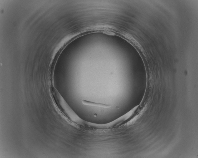 X0000073760989200608171352