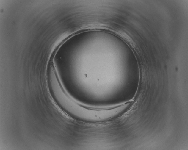 X0000073760990200608171352