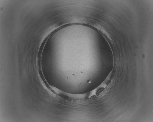 X0000073760991200608171352