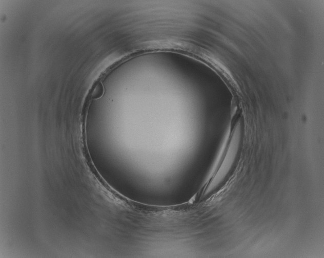 X0000073760992200608171352