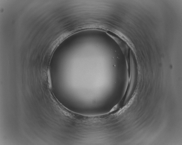 X0000073760993200608171352