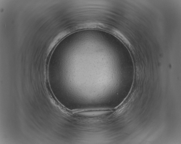 X0000073760994200608171352