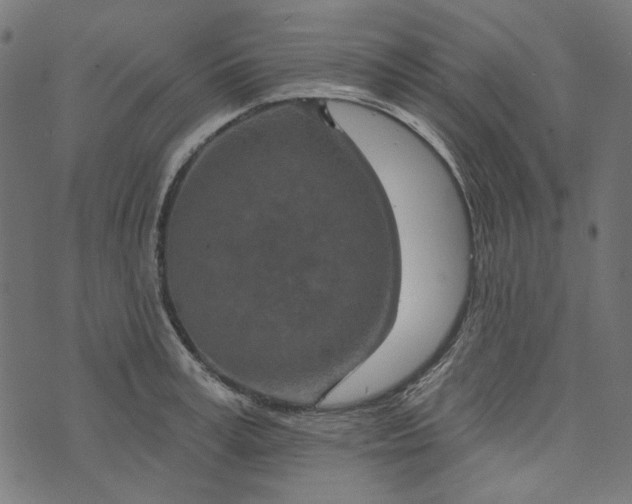 X0000073760995200608171352