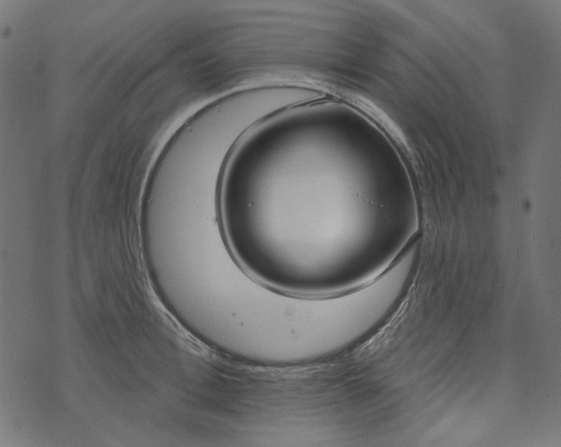 X0000073760996200608171352