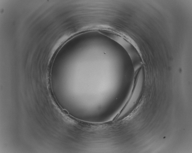 X0000073760997200608171352