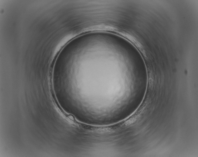 X0000073760998200608171352