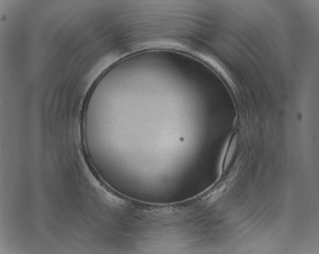 X0000073760999200608171352