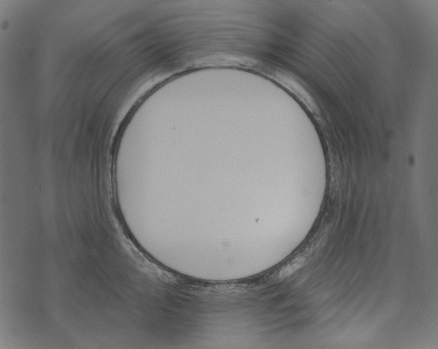 X0000073761000200608171352