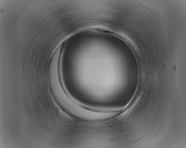 X0000073761001200608171352