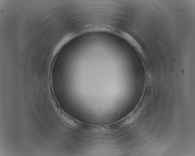 X0000073761002200608171352