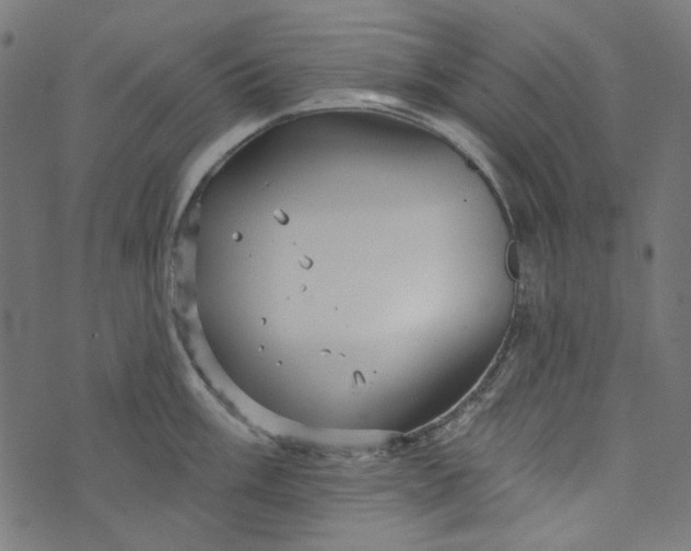 X0000073761003200608171352