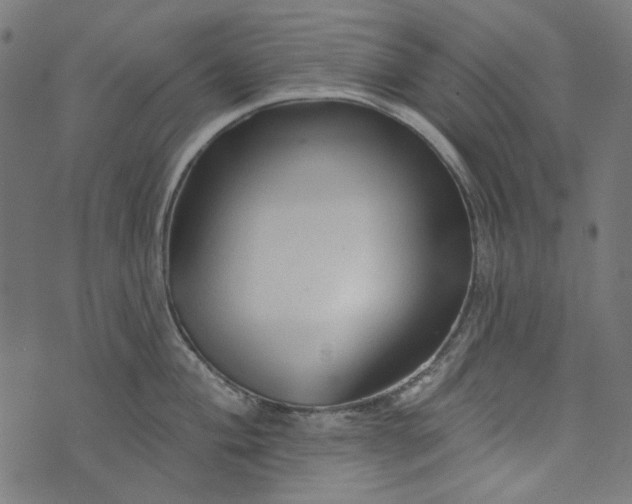 X0000073761004200608171352