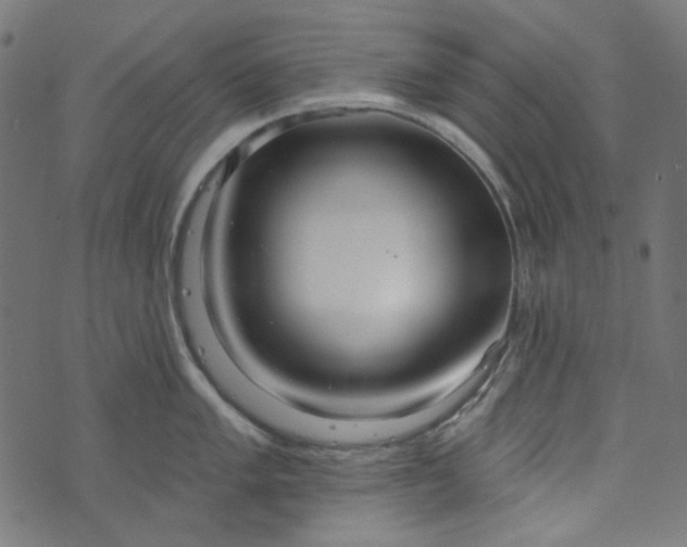 X0000073761005200608171352