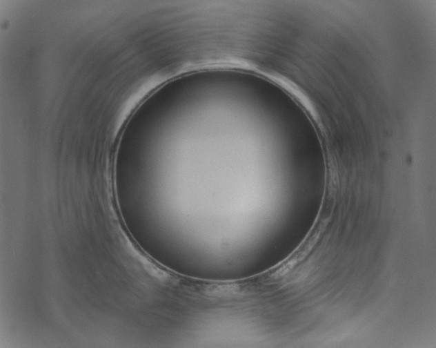 X0000073761006200608171352