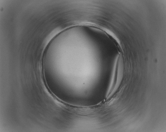 X0000073761007200608171352