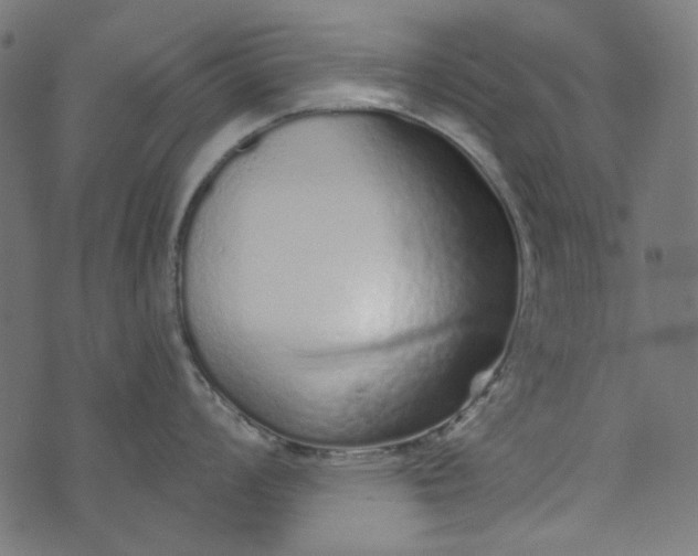 X0000073761008200608171352