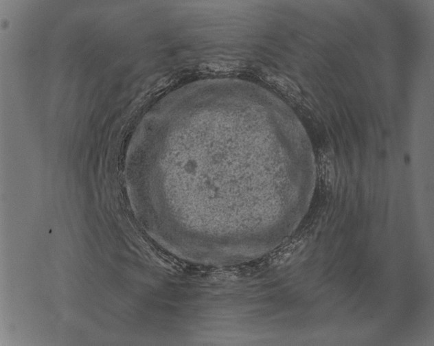 X0000073761009200608171351