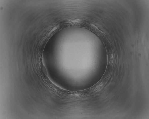 X0000073761010200608171351