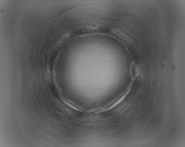 X0000073761011200608171351