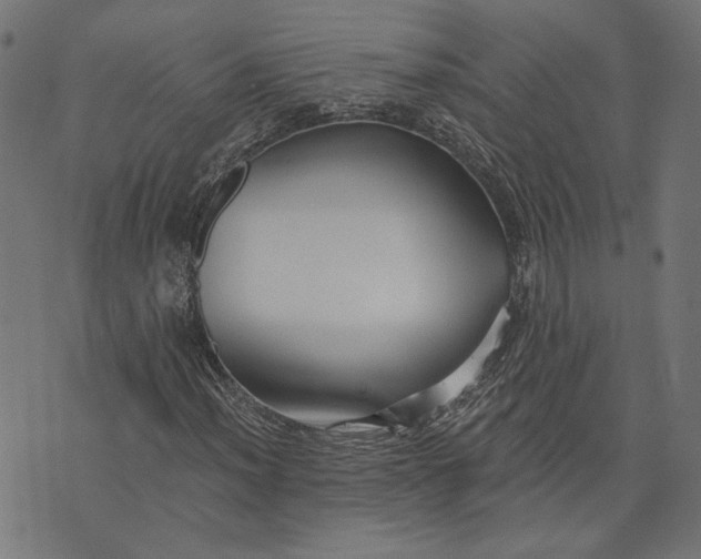 X0000073761012200608171351