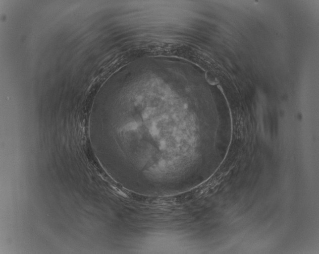 X0000073761013200608171351