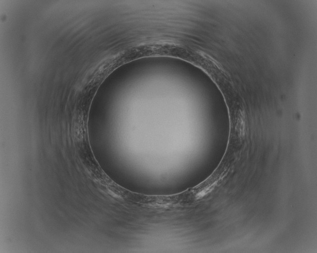 X0000073761014200608171351