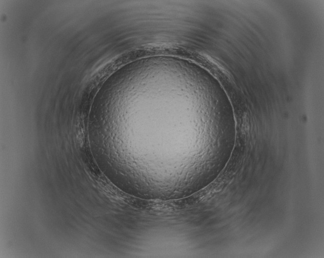 X0000073761015200608171351