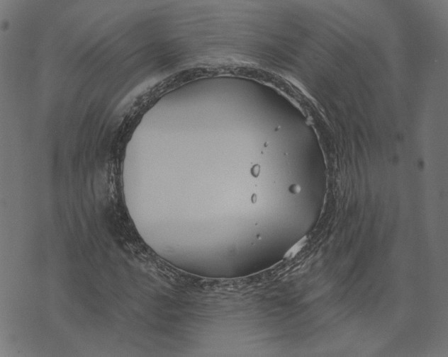 X0000073761016200608171351