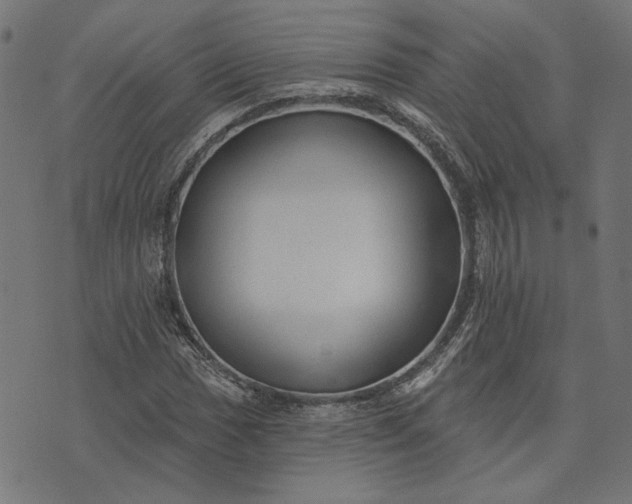 X0000073761017200608171351