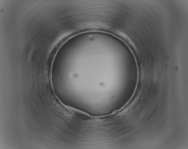 X0000073761019200608171351